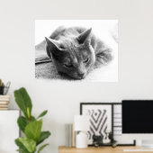 Graustufen-Katze Poster (Heimbüro)