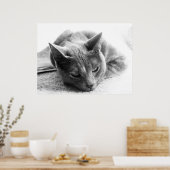 Graustufen-Katze Poster (Küche)