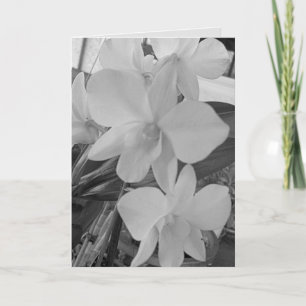 Graustufen-Orchideen auf einer Sympathiekarte