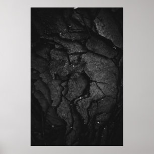 Graustufenfotografie Poster