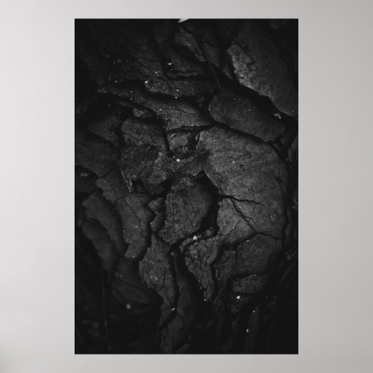 Graustufenfotografie Poster (Vorne)