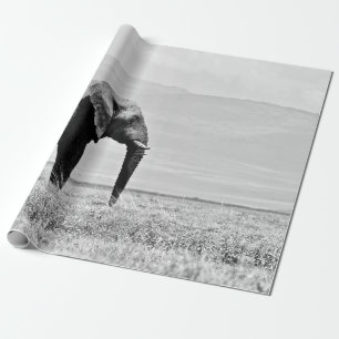 GRAUSTUFENFOTOGRAFIE VON ELEFANTEN GESCHENKPAPIER