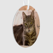 Grautabby Ornament (Vorderseite)