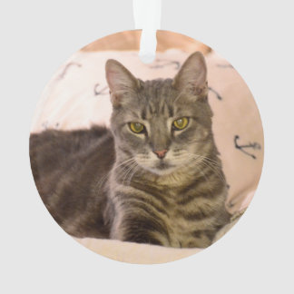 Grautabby Ornament
