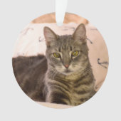 Grautabby Ornament (Vorderseite)