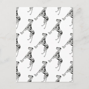 Grautiger Doggensilhouette Postkarte