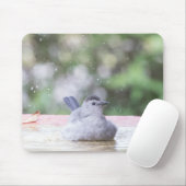 Grauvogel im Vogelbad Mousepad (Mit Mouse)