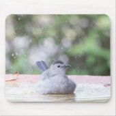 Grauvogel im Vogelbad Mousepad (Vorne)