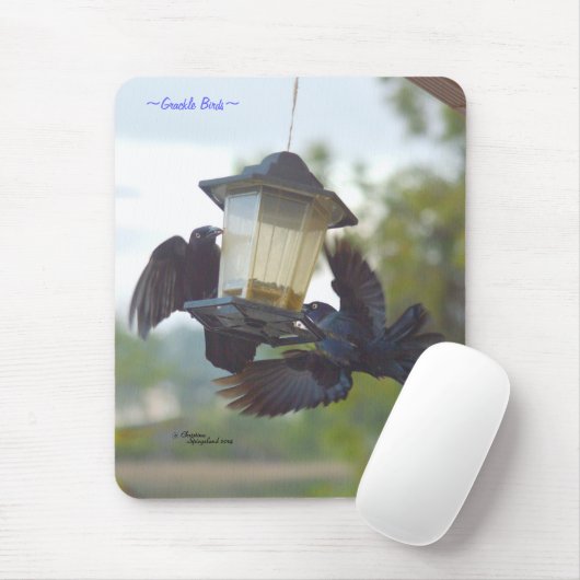 Grauvögel Schwarzvögel Mousepad (Mit Mouse)