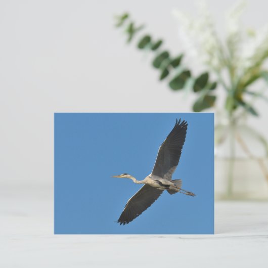 Grauvogelherde Postkarte (Stehend Vorderseite)