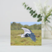 Grauvogelherde Postkarte (Stehend Vorderseite)