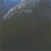 Grauwale #1 aufkleber (Vorderseite)