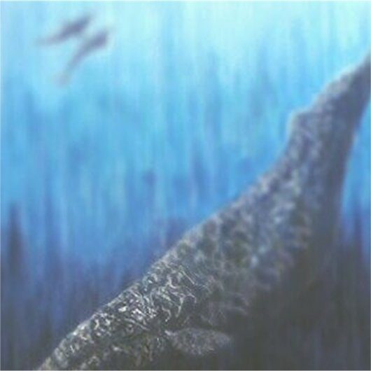 Grauwale#2 Aufkleber (Vorderseite)