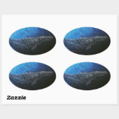 Grauwale Ovaler Aufkleber (Blatt)