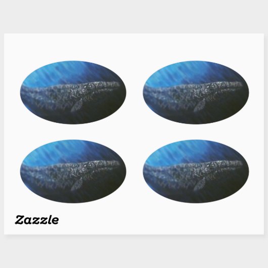 Grauwale Ovaler Aufkleber (Blatt)