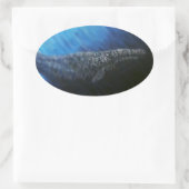 Grauwale Ovaler Aufkleber (Tasche)