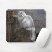 Grauweiße Angorakatze Mousepad (Mit Mouse)