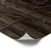 Grauweiße Angorakatze Poster (Ecke)