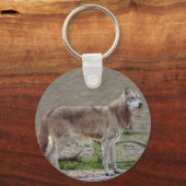 Grauwolf-12 Schlüsselanhänger (Vorderseite)