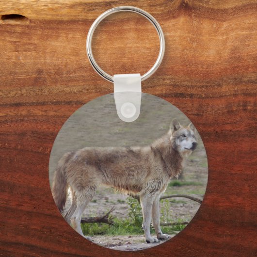 Grauwolf-12 Schlüsselanhänger (Vorderseite)