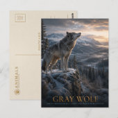 Grauwolf-Berg-Wilderness-Tiere Postkarte (Vorne/Hinten)