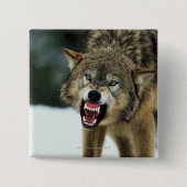 Grauwolf Button (Vorderseite)