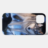 Grauwolf, Canis lupus, am Fuße Case-Mate iPhone Hülle (Rückseite (Horizontal))