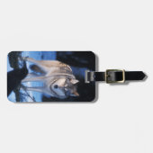 Grauwolf, Canis lupus, am Fuße Gepäckanhänger (Vorderseite horizontal)