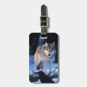 Grauwolf, Canis lupus, am Fuße Gepäckanhänger (Vorderseite vertikal)