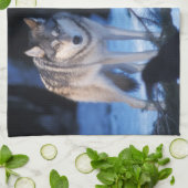 Grauwolf, Canis lupus, am Fuße Geschirrtuch (Gefaltet)