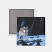 Grauwolf, Canis lupus, am Fuße Magnet (Vorderseite/Rückseite)