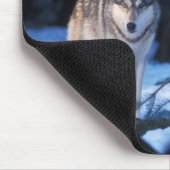 Grauwolf, Canis lupus, am Fuße Mousepad (Ecke)