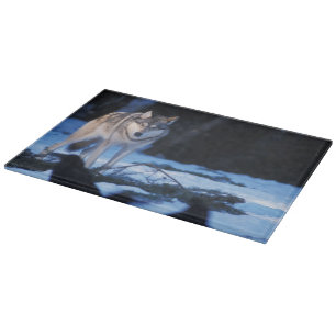 Grauwolf, Canis lupus, am Fuße Schneidebrett