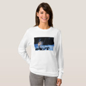 Grauwolf, Canis lupus, am Fuße T-Shirt (Vorne ganz)