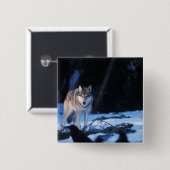 Grauwolf, Canis lupus, im Vorgebirge Button (Vorne & Hinten)