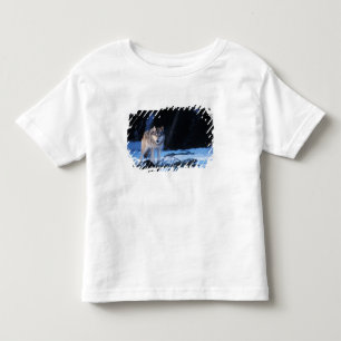 Grauwolf, Canis lupus, in den Vorgebirgen Kleinkind T-shirt