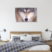 Grauwolf, Canis lupus, nah Leinwanddruck (Insitu (Schlafzimmer))