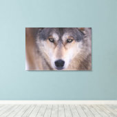 Grauwolf, Canis lupus, nah Leinwanddruck (Insitu (Holzboden))