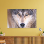 Grauwolf, Canis lupus, nah Leinwanddruck (Insitu (Wohnzimmer))