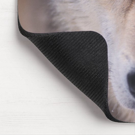 Grauwolf, Canis lupus, nah Mousepad (Ecke)