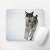 Grauwolf läuft mousepad (Mit Mouse)