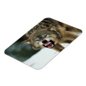 Grauwolf Magnet (Linke Seite)