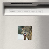 Grauwolf Magnet (In Situ (Geschirrspüler))