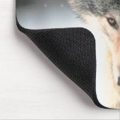 Grauwolf Mousepad (Ecke)
