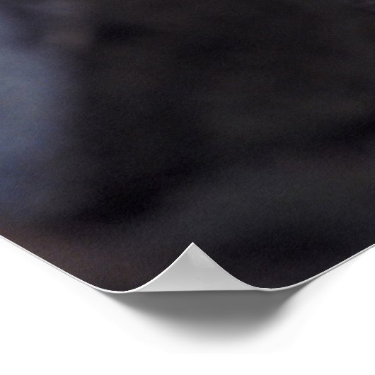 Grauwolf-Poster Poster (Ecke)