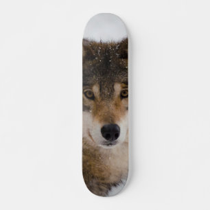 Grauwolf Skateboard