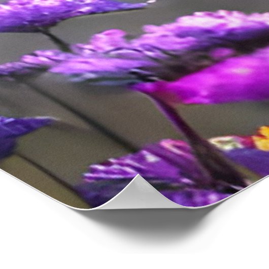 Grauwolf-Stare - rosa und violette Blumen Poster (Ecke)