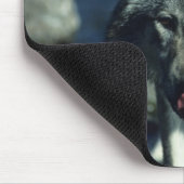 Grauwolf trinkt im Herbst Mousepad (Ecke)
