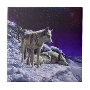 Grauwölfe im Winterschnee in der Nacht Fliese