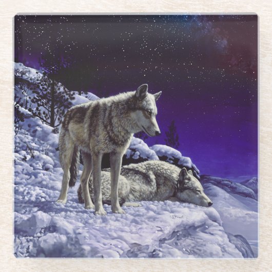 Grauwölfe im Winterschnee in der Nacht Glasuntersetzer (Vorderseite)